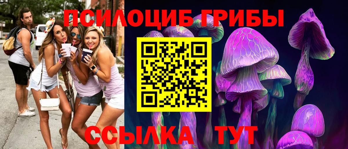 Псилоцибиновые грибы Psilocybine cubensis Шелехов