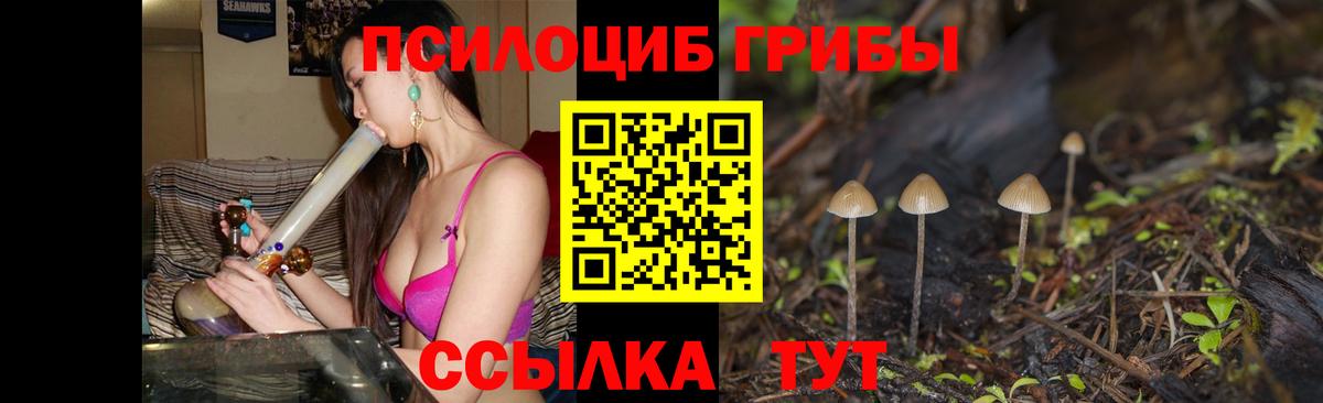 Шелехов  купить  цена  Вход с VPN  Галлюциногенные грибы прущие грибы 